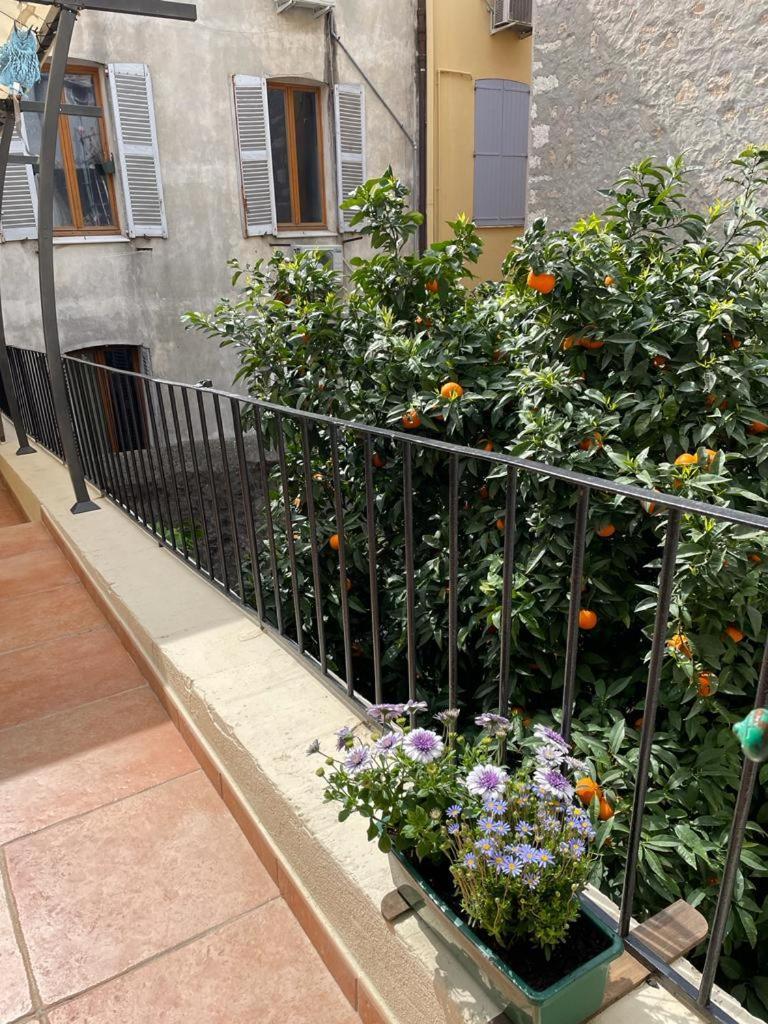Appartements Climatises - Vieil 昂蒂布 外观 照片